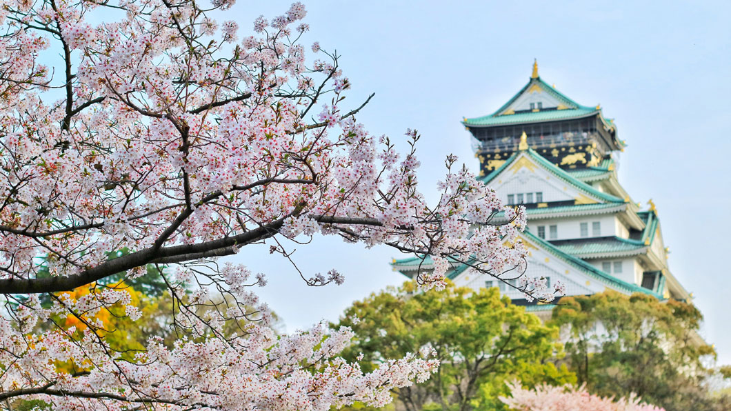 日本五大桜の名所情報