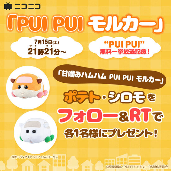 モルモット感謝の日に「PUI PUI モルカー」全話を21時間21分（プイプイ
